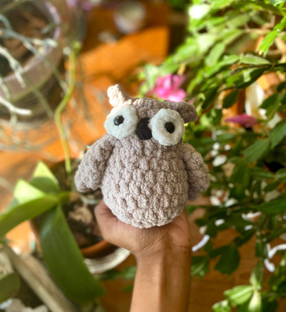 Owl Crochet Plushies